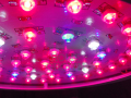 ���⡦�ϥ������� LED��ʪ������ HG-LA90��2.0 ����Ĺ������