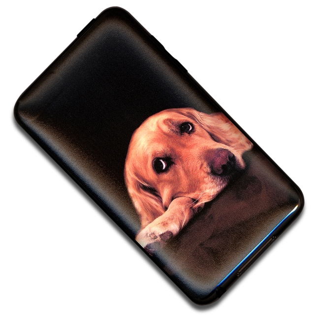 �������Ǥ�̣�廊�ʤ����δ���UV�ݸ���󥷡���