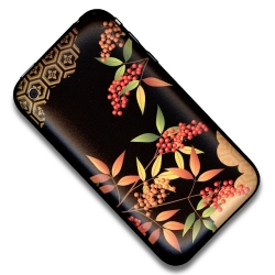 �������Ǥ�̣�廊�ʤ����δ����գ��ݸ���󥷡���