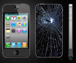 �������Ǥ�̣�廊�ʤ����δ�����åץ��åפΣգ��ݸ���󥷡���