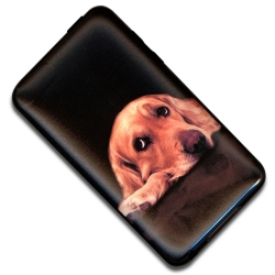 �������Ǥ�̣�廊�ʤ����δ���UV�ݸ���󥷡���