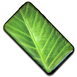 �������Ǥ�̣�廊�ʤ����δ���UV�ݸ���󥷡���