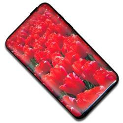 �������Ǥ�̣�廊�ʤ����δ���UV�ݸ���󥷡���