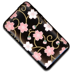 �������Ǥ�̣�廊�ʤ����δ���UV�ݸ���󥷡���