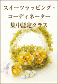 �������ĥ�åԥ󥰹ֽ��ڥ�åԥ󥰶��񡦻�ʡ�