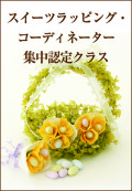 �������ĥ�åԥ󥰹ֽ��ڥ�åԥ󥰶��񡦻�ʡ�