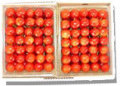 ��ƣ�ӡ��̡���ͤ� 500g �� 2