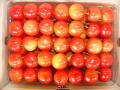 ��ƣ�ӡ��̡���ͤ� 500g