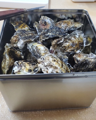 北海道　サロマ湖産　昔のくそがきが、くそ美味い牡蠣を育て選んだ！！くそがき(加熱用）　3.5キロ