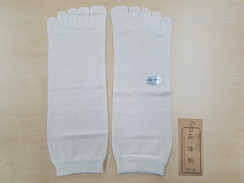 絹5本指靴下 生成