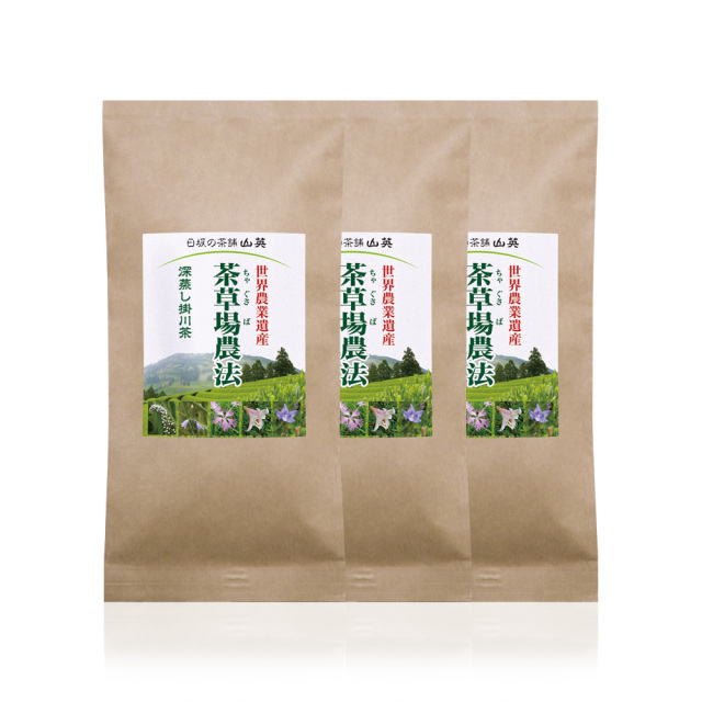 茶草場農法・深蒸し掛川茶100ｇ×3セット