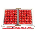 �������ܡ���ƣ��  ��L��500g��2�ѥå�