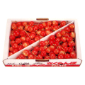 �������ܡ���ƣ�ӡ�1kg�Х�͡ʽ�L��M��
