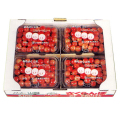 �������ܡ���ƣ�ӡ������ѡ�1.4kg�͡�L��M��350���4�ѥå�