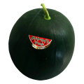 ��������������������