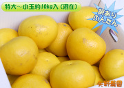 ��²����������������������������10kg���ʺ��ߡ�