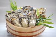 赤穂坂越湾産　　殻付きカキ3kg　　　　送料別