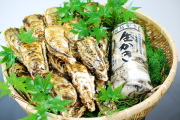 おすすめセット殻付き牡蠣2.0kgと剥き身牡蠣500g |送料別