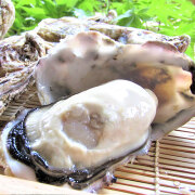 夏美牡蠣