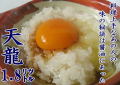 �ޤ��䤫�ʴŸ����礦�桡ŷζ1.8��åȥ�