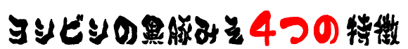 �襷�ӥ��ι��ڤߤ�4�Ĥ���ħ