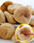 ��̳�� �ȥ륳��������