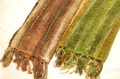 s165.JPG