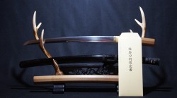 【Y】日本美術刀剣保存協会鑑定 日本刀 銘：在銘【武蔵守藤原兼中 越前住】拵付き 脇差 44.5cm 刀身369g