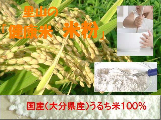 下郷農協 国産(大分県産)100%うるち米 里山の「健康米 米粉」