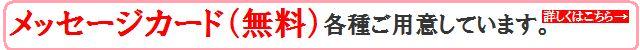 メッセージカード(無料)各種ご用意しています。