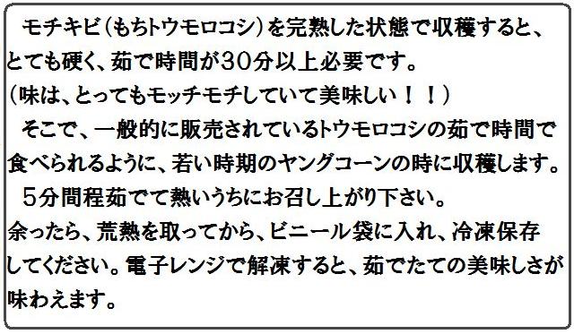 もちきび(もちトウモロコシ)はヤングコーンの時収穫します。5分ほど茹でてお召し上がりください。