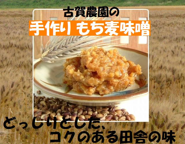 無農薬、自家栽培のもち麦と大豆使用 古賀農園 手作りもち麦みそ!しっかりとコクのある田舎みその味