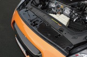 ZELE R35GT-R ドライカーボンラジエターシュラウド(ドライカーボン製)