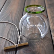 金魚玉つぼみ萌黄