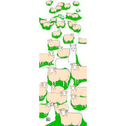 2015年干支手ぬぐい　ウール何％？