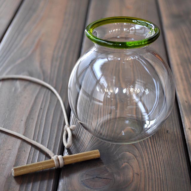 金魚玉つぼみ萌黄