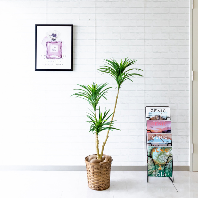 Pg173 S24 ドラセナスリム H約1cm バンブー鉢 人工観葉植物 観葉植物 フェイクグリーン アーティフィシャルグリーン 観葉樹木 人工樹木 インテリア インテリアグリーン おしゃれ 送料無料 新築祝い 住宅展示場 オフィス 贈答 開業祝い