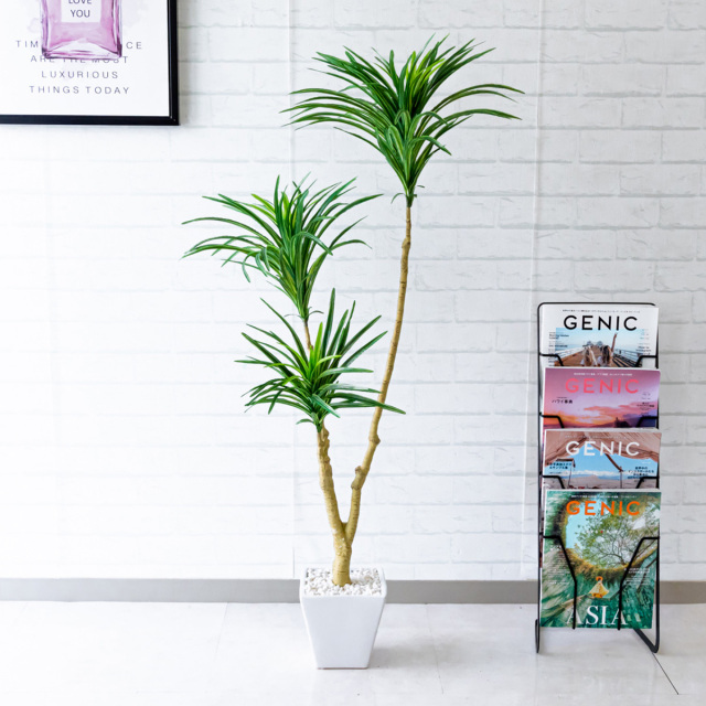 Pg173 ユッカ H1cm Gla 1198 陶器鉢 人工観葉植物 観葉植物 フェイクグリーン アーティフィシャルグリーン 観葉樹木 人工樹木 インテリア インテリアグリーン フロアサイズ おしゃれ 送料無料 店舗装飾 お祝い 新築祝い 住宅展示場 オフィス 贈答 開業祝い