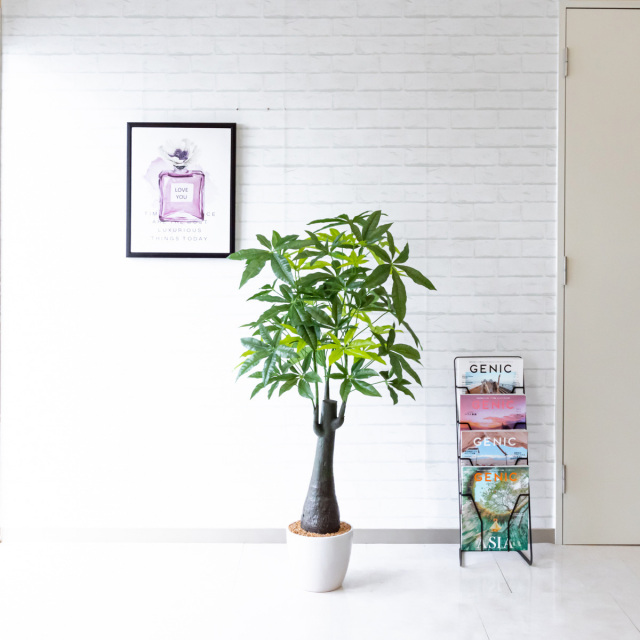 Pg181 ユッカ H1cm Gla 1198 陶器鉢 人工観葉植物 観葉植物 フェイクグリーン アーティフィシャルグリーン 観葉樹木 人工樹木 インテリア インテリアグリーン フロアサイズ おしゃれ 送料無料 店舗装飾 お祝い 新築祝い 住宅展示場 オフィス 贈答 開業祝い