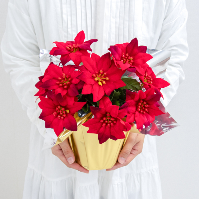 造花アレンジメントポット(ポインセチア/レッド) 高さ30cm   /クリスマス装飾 フラワーアレンジメント テーブルプランター インテリアフラワー フェイク 卓上 おしゃれ 装飾 置き型 店舗装飾 店内装飾  (PAS161)