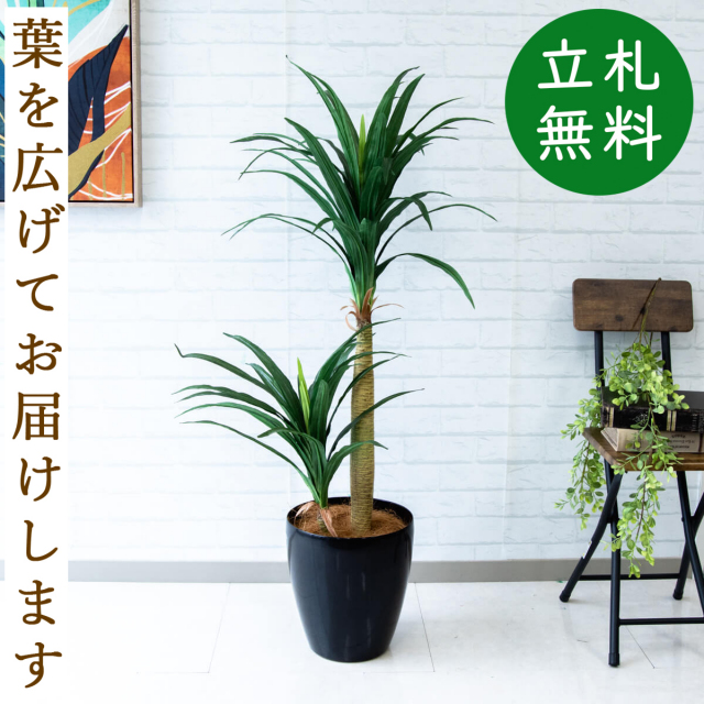 フェイクグリーン　120㎝　観葉植物 Amazon｜観葉植物 大型 人工 120cm 超リアル フェイクグリーン