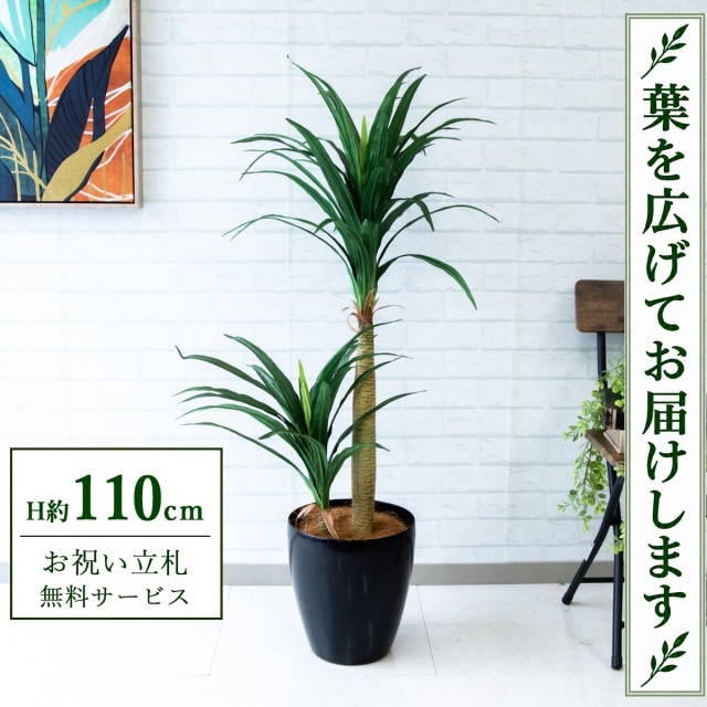 【すぐ飾れる】 フェイクグリーン ドラセナコンシナ H約110cm 鉢付き / 法人・開店祝い 店舗・オフィス装飾 空間演出 立札無料・造花/PG014-A265BK