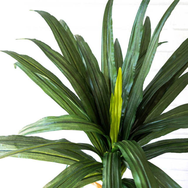 人工 観葉植物 フェイク グリーン ドラセナコンシナ H約120cm