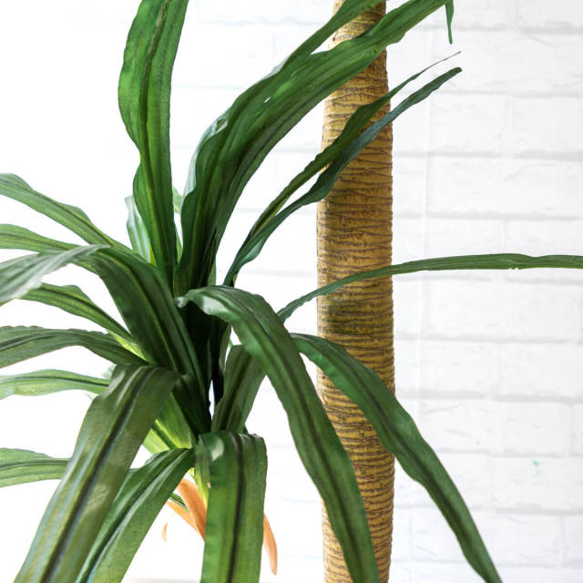 人工 観葉植物 フェイク グリーン ドラセナコンシナ H約120cm 店舗