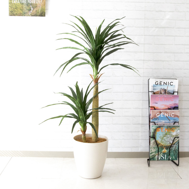 人工 観葉植物 フェイク グリーン ドラセナコンシナ H約120cm 店舗