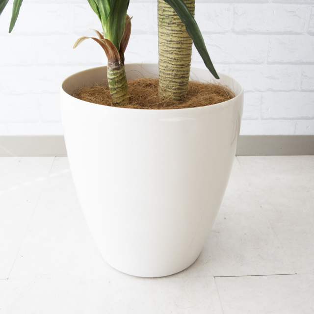 人工観葉植物 フェイクグリーン4点 ホワイト鉢付き 人工 観葉植物 フェイク グリーン ハラン H約100cm 店舗 装飾 開店