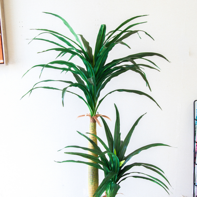光触媒　人工観葉植物　ウォールグリーン　フェイクグリーン　ドラセナユッカ1666 光触媒 人工観葉植物 ウォールグリーン フェイクグリーン ドラセナ