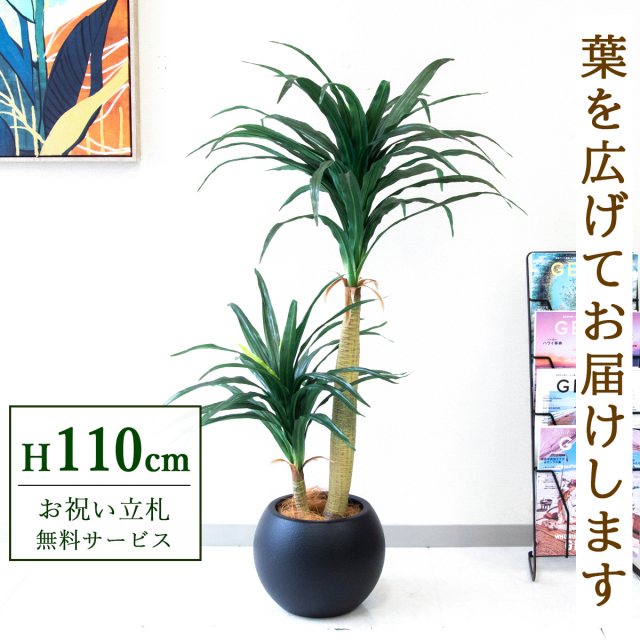 【すぐ飾れる】 フェイクグリーン ドラセナコンシナ 110cm  鉢付き / 法人・開店祝い 店舗・オフィス装飾 空間演出 立札無料・造花/PG014-ROM27BK