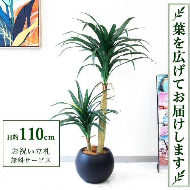 【すぐ飾れる】 フェイクグリーン ドラセナコンシナ H約110cm 鉢付き / 法人・開店祝い 店舗・オフィス装飾 空間演出 立札無料・造花/PG014-ROM27BK