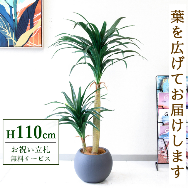 【すぐ飾れる】 フェイクグリーン ドラセナコンシナ 110cm  鉢付き / 法人・開店祝い 店舗・オフィス装飾 空間演出 立札無料・造花/PG014-ROM27GY